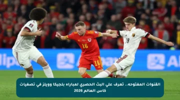 القنوات المفتوحة.. تعرف على البث الحصري لمباراة بلجيكا وويلز في تصفيات كأس العالم 2026